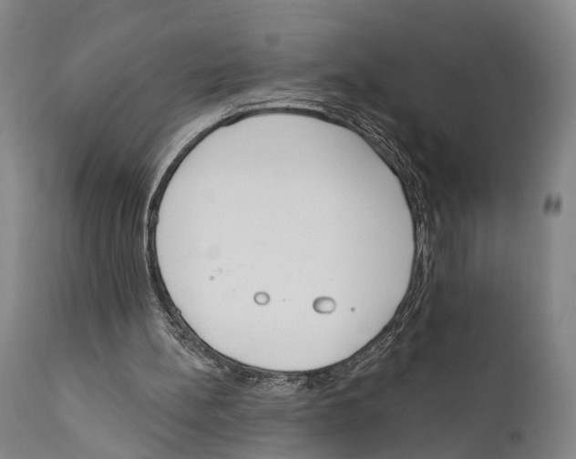 X0000111170148200908121055