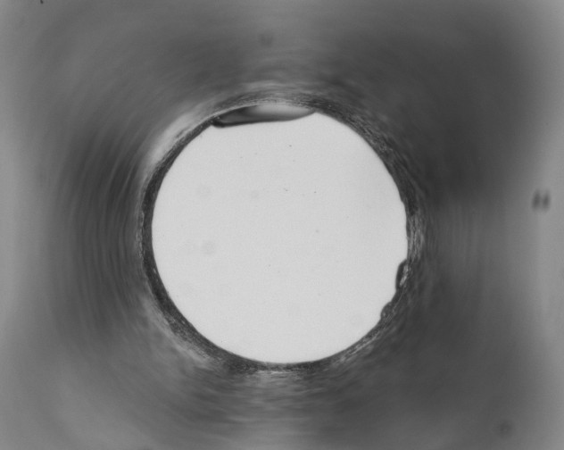 X0000111170150200908121055