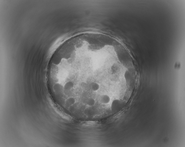 X0000111170151200908121055