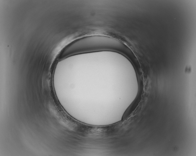 X0000111170152200908121055