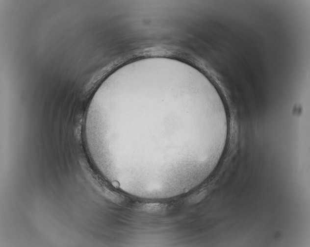 X0000111170153200908121055