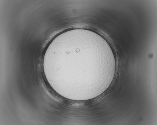 X0000111170155200908121055