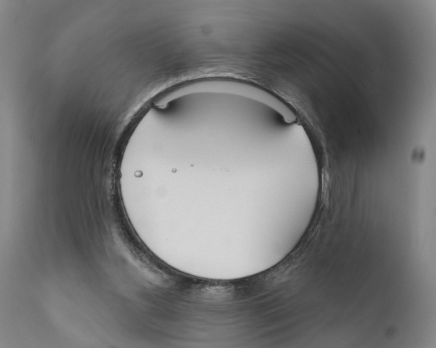 X0000111170156200908121055