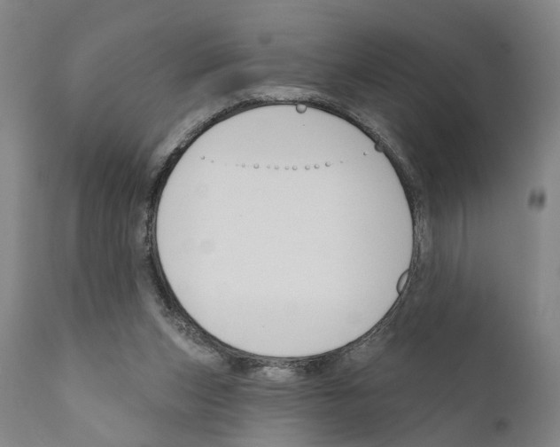 X0000111170159200908121055