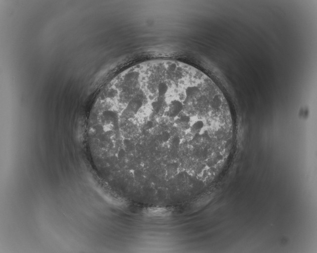 X0000111170161200908121055