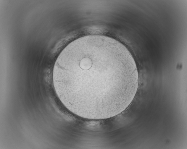 X0000111170162200908121055