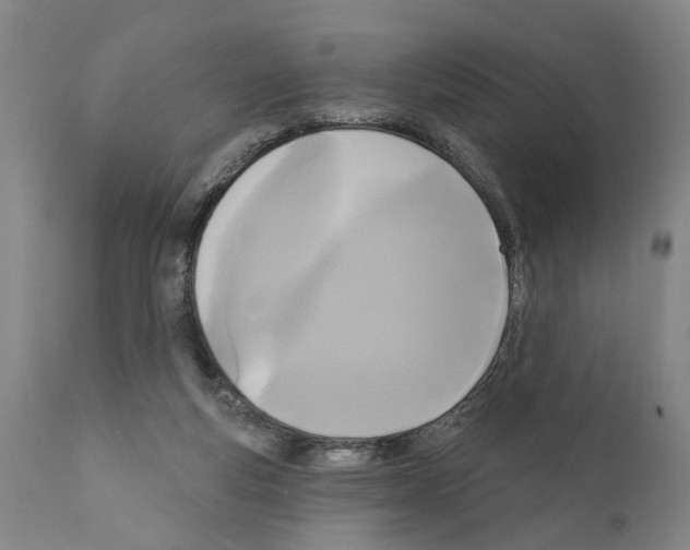 X0000111170163200908121055