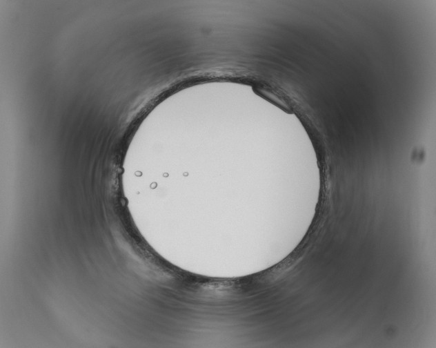 X0000111170164200908121055