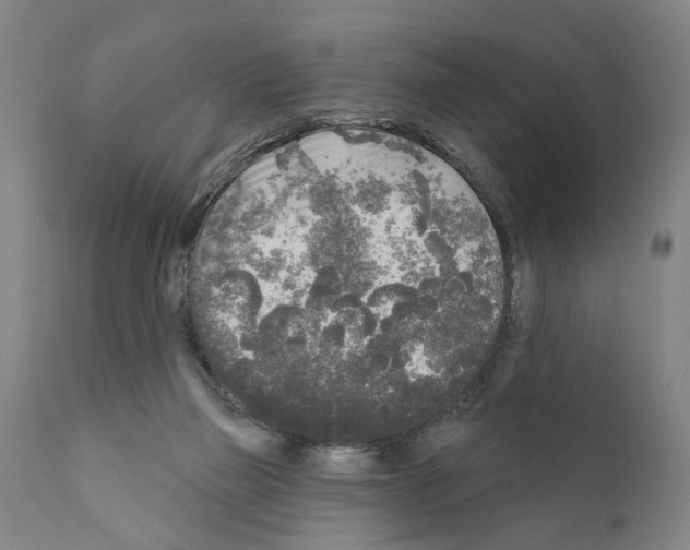 X0000111170165200908121055