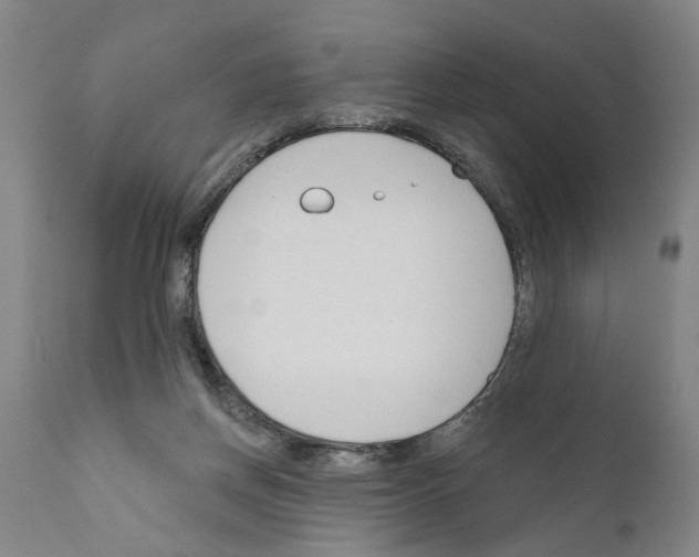 X0000111170166200908121055