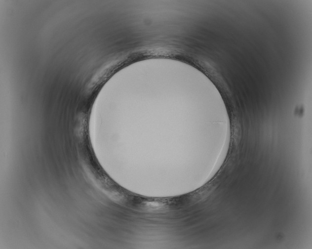 X0000111170167200908121055