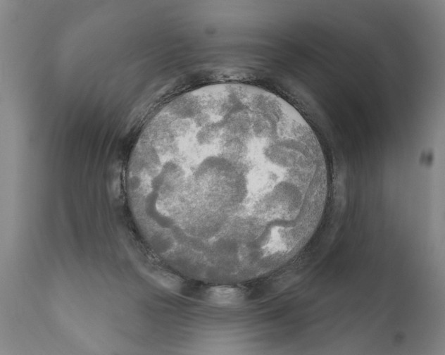 X0000111170169200908121055