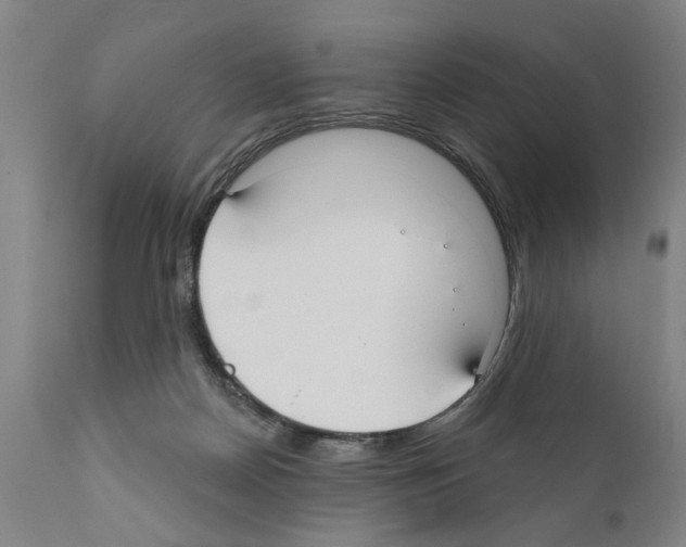 X0000111170170200908121055