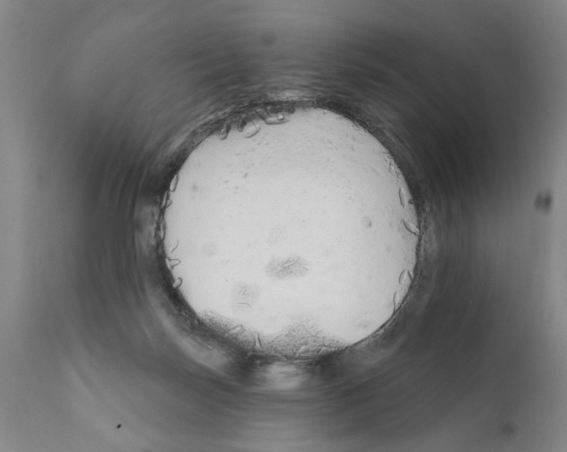 X0000111170171200908121055