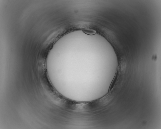 X0000111170172200908121055