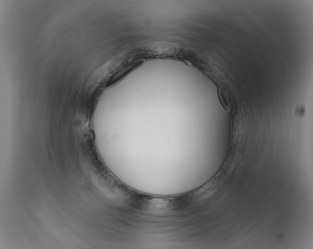 X0000111170176200908121055