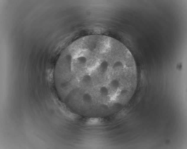 X0000111170177200908121055