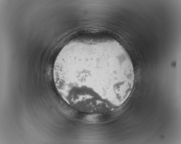 X0000111170178200908121055