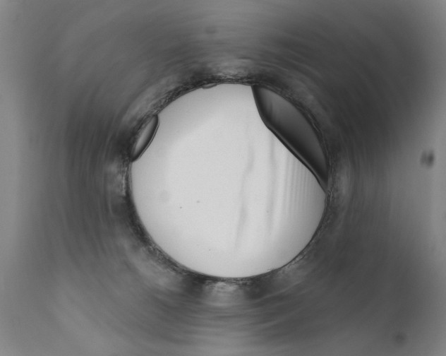 X0000111170180200908121055