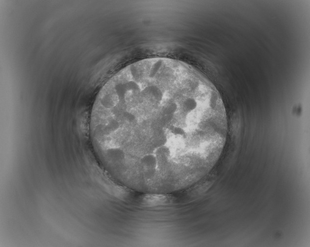 X0000111170181200908121055