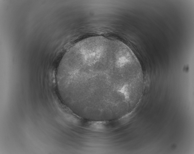 X0000111170182200908121055