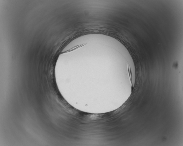 X0000111170184200908121055