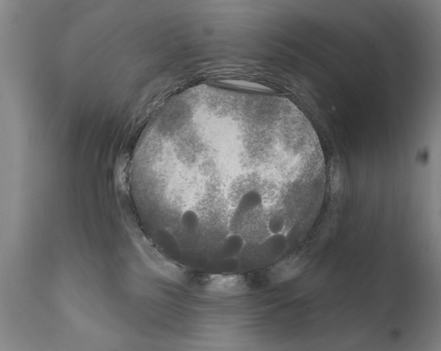 X0000111170185200908121055