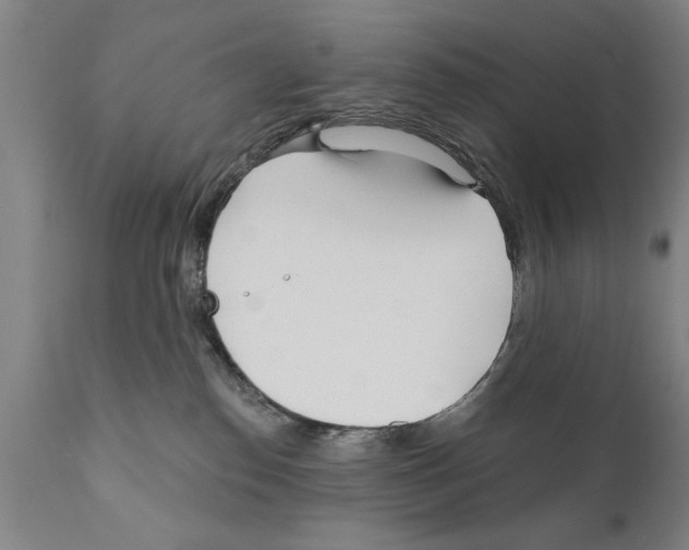 X0000111170186200908121055