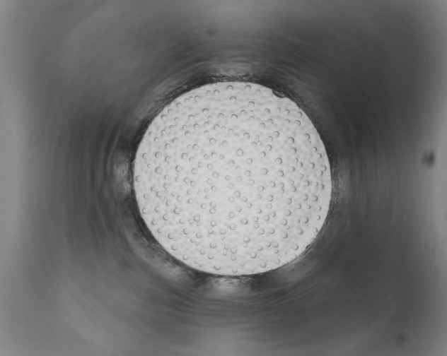 X0000111170187200908121055