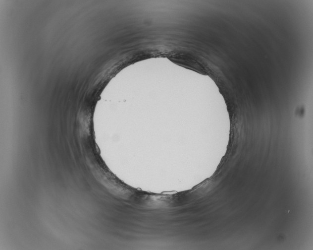 X0000111170188200908121055