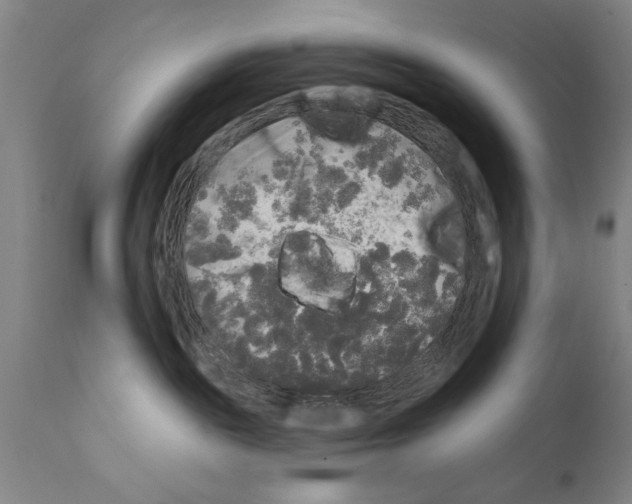 X0000111170189200908121055