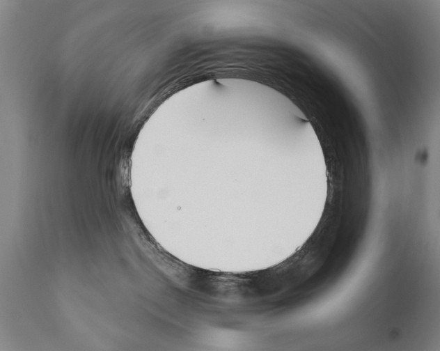 X0000111170190200908121055