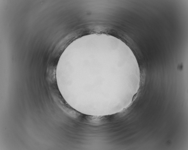 X0000111170191200908121055