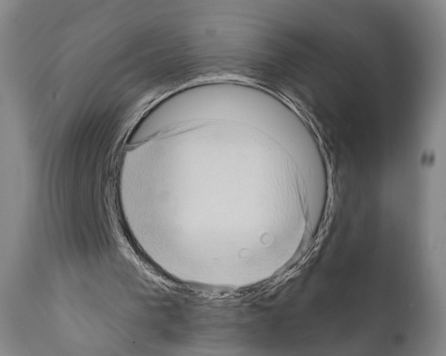 X0000111170193200908121055