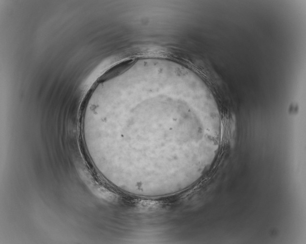 X0000111170195200908121055