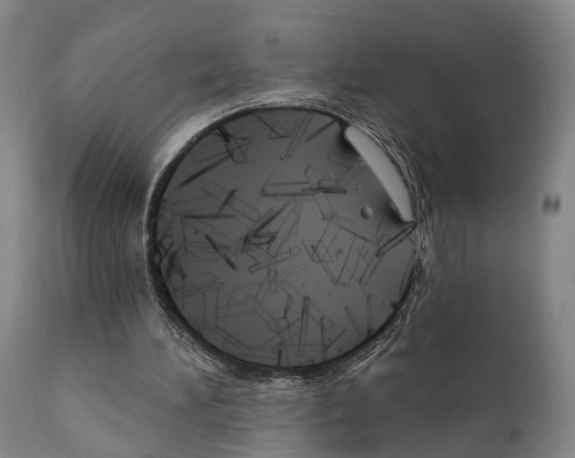 X0000111170196200908121055