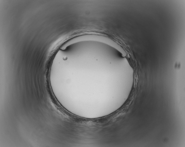 X0000111170197200908121055