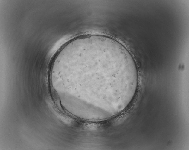 X0000111170199200908121055