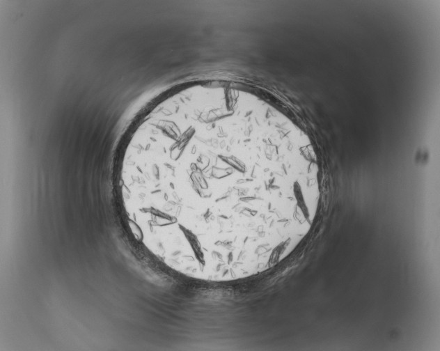 X0000111170200200908121055