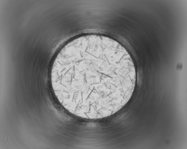 X0000111170204200908121055