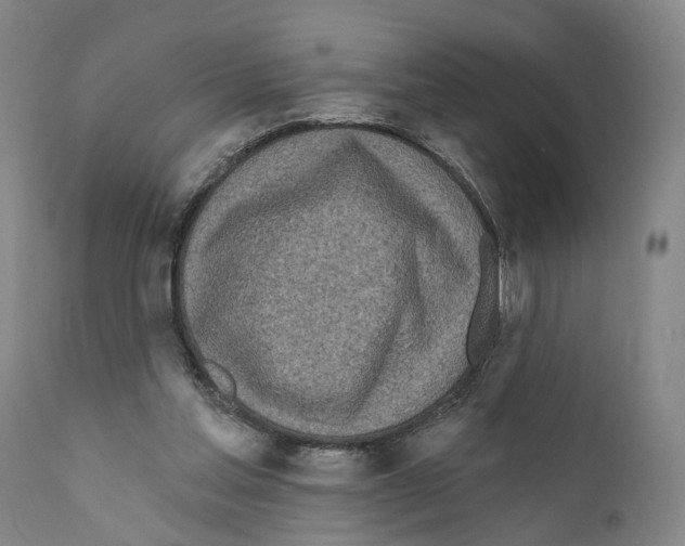 X0000111170205200908121055