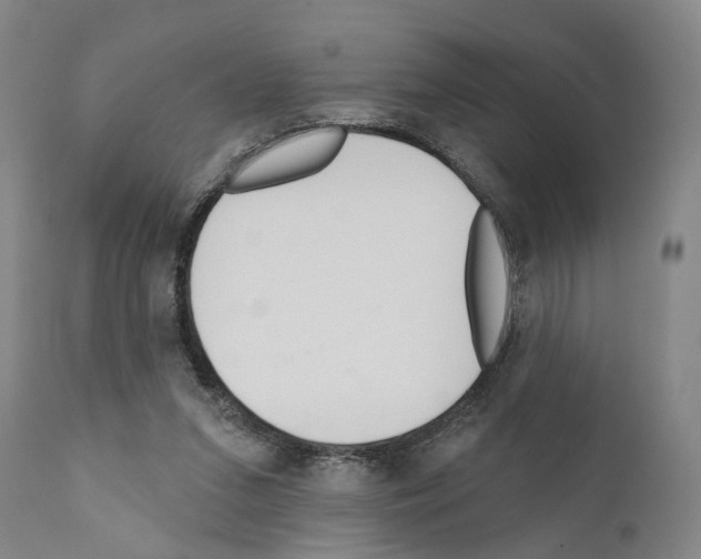 X0000111170207200908121055