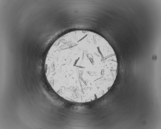 X0000111170208200908121055