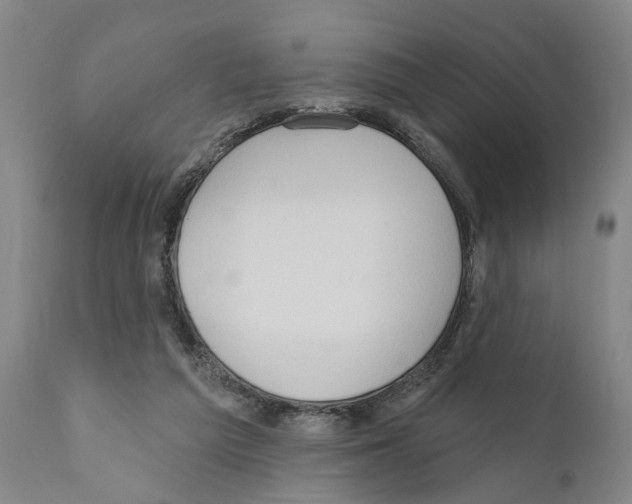 X0000111170209200908121055