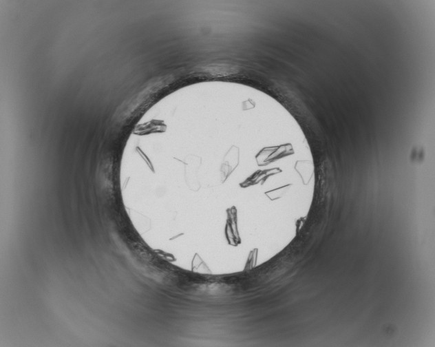 X0000111170212200908121055