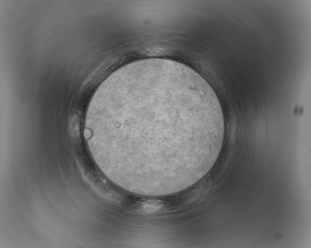 X0000111170214200908121055