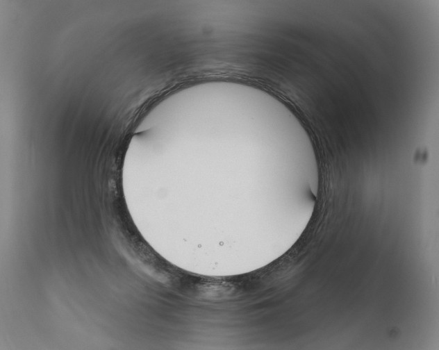 X0000111170215200908121055