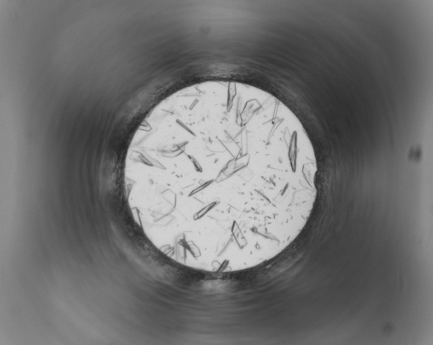 X0000111170216200908121054