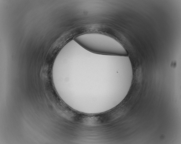 X0000111170217200908121054