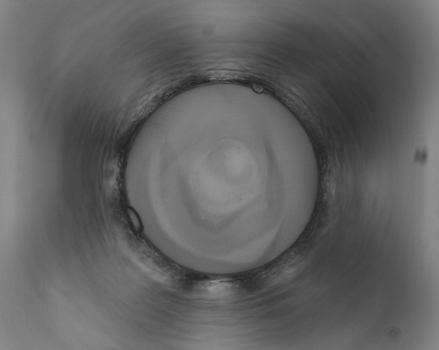 X0000111170219200908121054